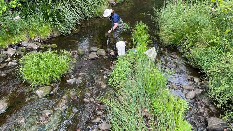 Marion Huxley testing water quality at Cabramatta Creek