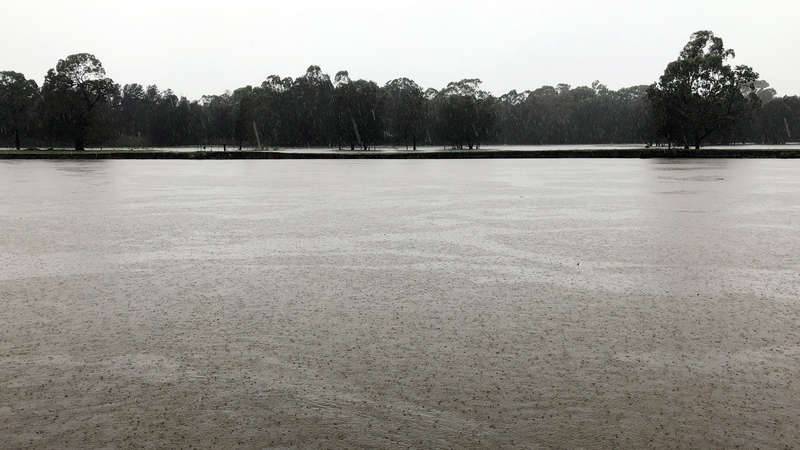 Floodplain on the Georges River