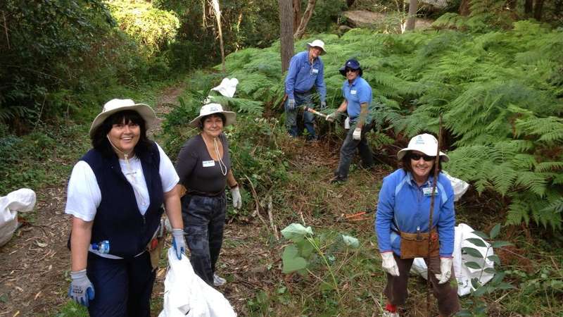 Bushcare group at Oyster Creek Gully