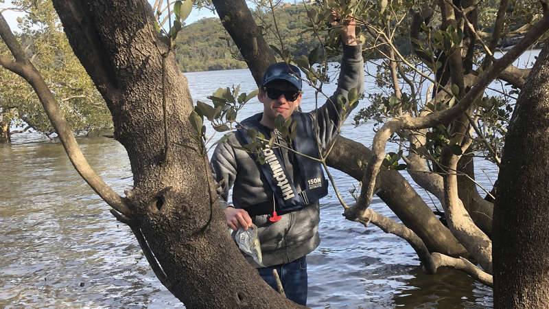 Mangrove researcher from UNSW working to determine if mangroves are an indicator of metal contamination in the Georges River