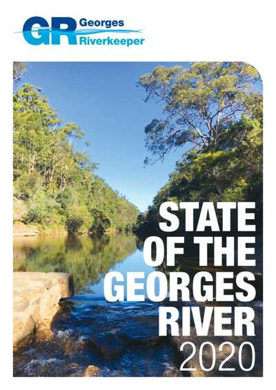 State of the Georges River 2020