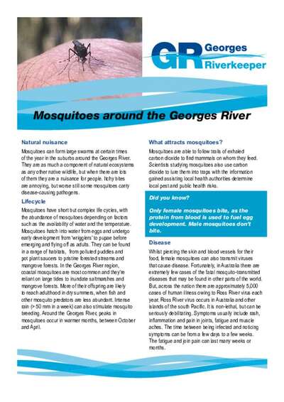 Mosquitoes around the Georges River Factsheet