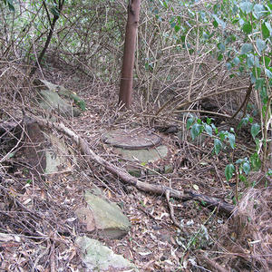 Oyster Creek Gully before works commenced.