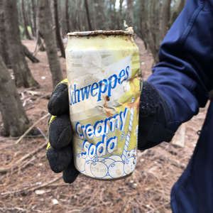 Old drink container littered on Georges River