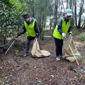 volunteers clean up litter on Georges River