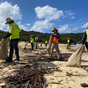 CVA volunteers conduct a clean up along Georges River