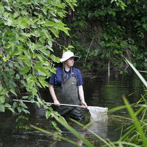 Marion wading to catch water bug samples