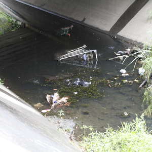 Shopping trolley and pollution at Brickmakers Creek