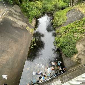 Stormwater pollution at Brickmakers Creek