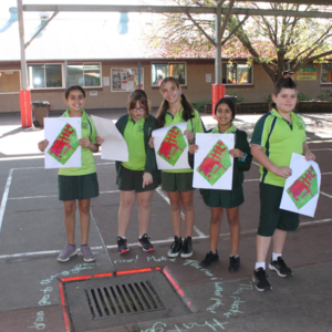 Zero Litter – Students from Wattle Grove public school