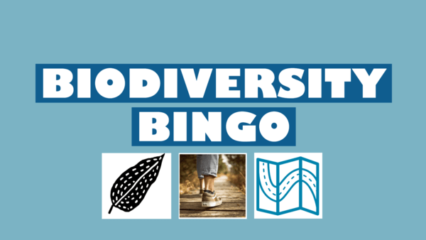 Biodiversity Bingo logo for web banner