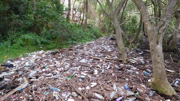 Litter in the Georges River catchment - plastic bottles and cans litter the ground after being washed up from the river