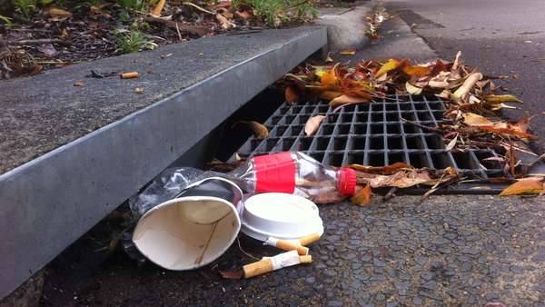 Pollution from take away coffee cups, cigarette butts, plastic bottles and leave litter on the road near a stormwater drain