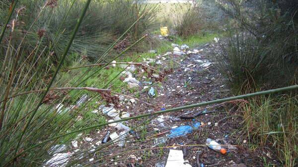 Plastic Litter and other rubbish in the riparian zone of the Georges River