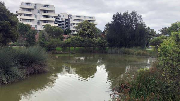 Residential apartment blocks look over Riverwood Wetlands