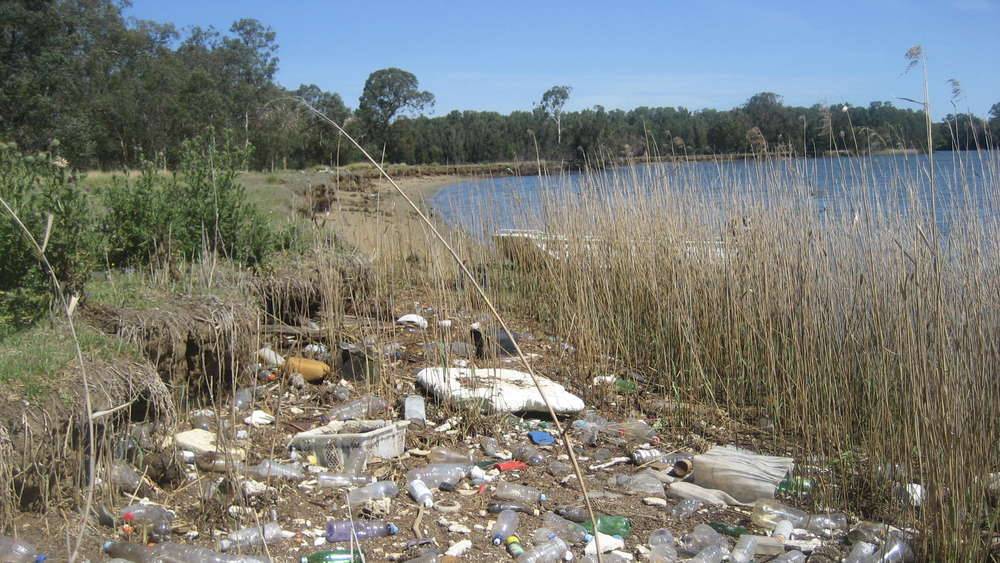 Georges River - Litter