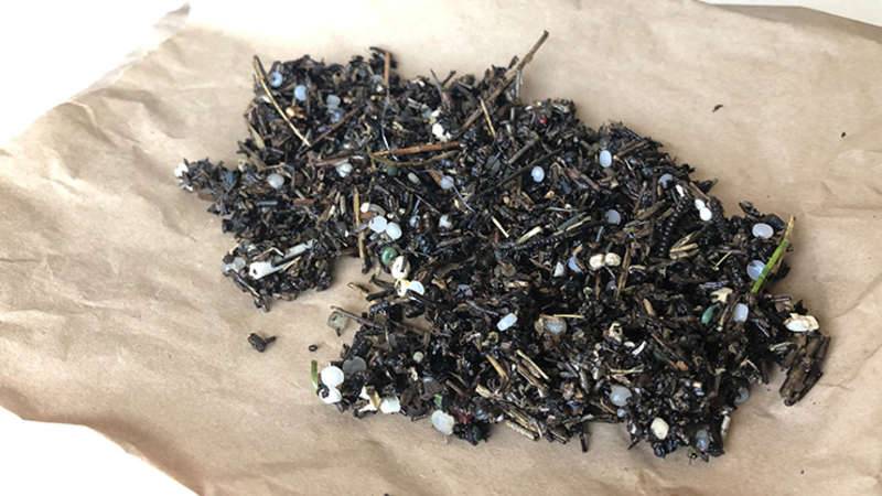 Microplastics found in the Georges River from sifting 0.25m2 of sand