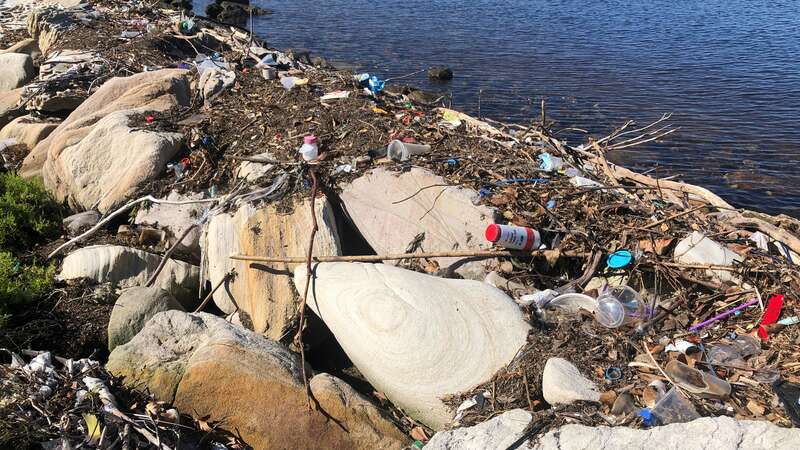 Litter on the Georges River at Kogarah Bay 2022