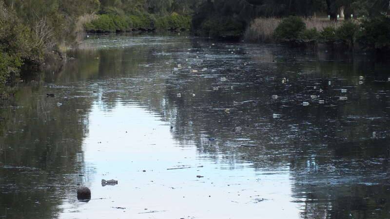 Litter pollution at Cabramatta Creek in the Georges River catchment