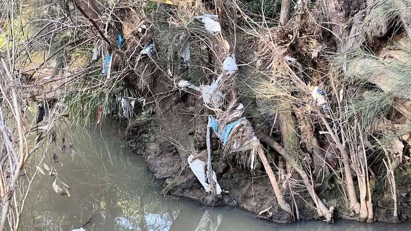 Litter at Orphan School Creek in the Georges River catchment