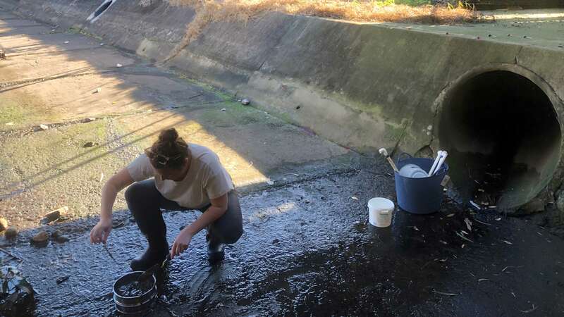 Lydia Smithers, Georges Riverkeeper, sampling for rubber crumbs near a synthetic sports field in the Bayside Local Government Area.