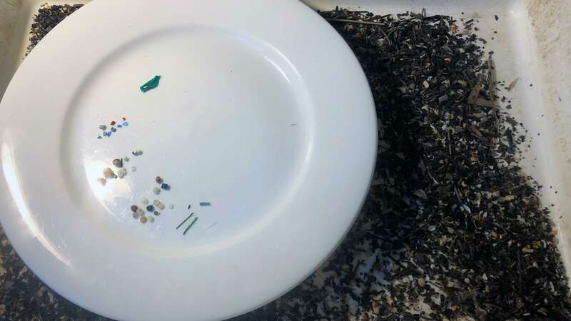 Example of microplastics found in the sample by Georges Riverkeeper