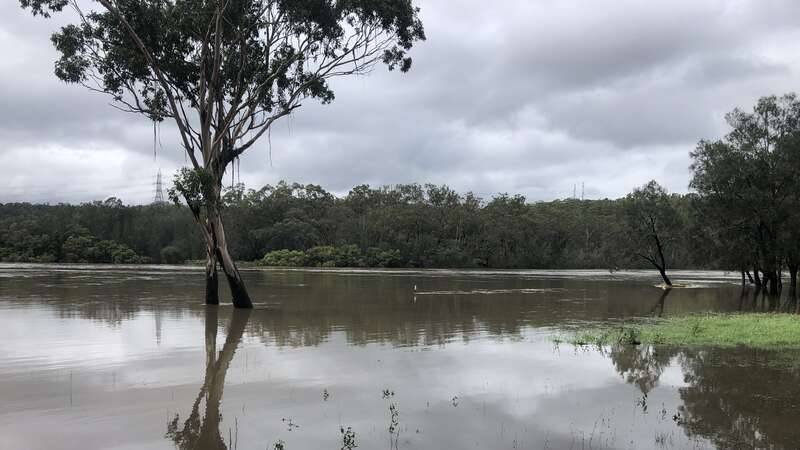 Receding flood waters - Picnic Point 2020