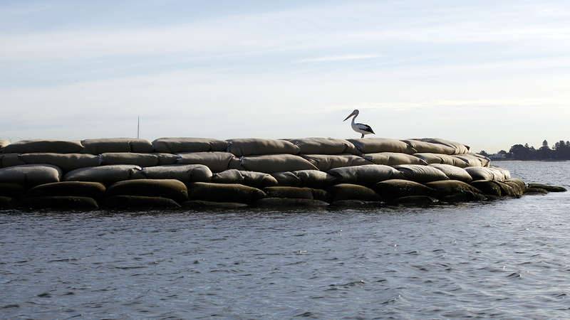 Constructed island for shorebirds, Woolooware Bay