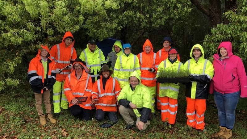 Representatives from Conservation Volunteers Australia, Georges Riverkeeper and City of Canterbury Bankstown, wearing high vis yellow and orange clothing, stand in the rain, in front of green trees, holding seedlings.
