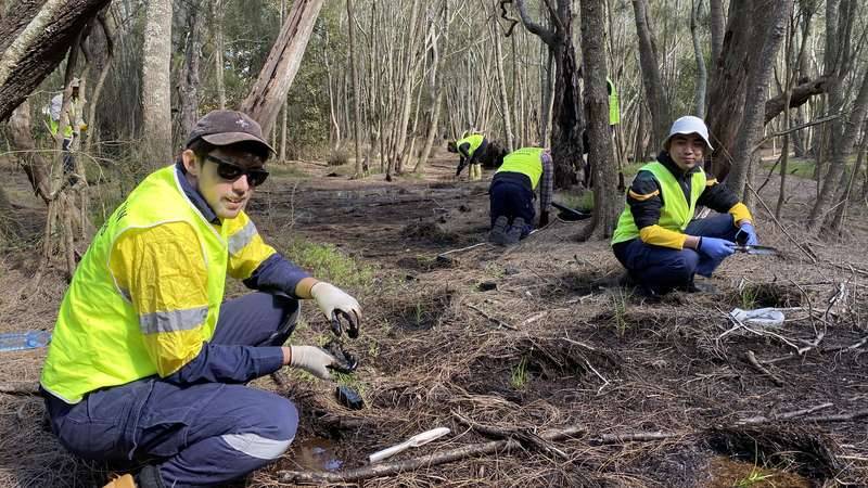Male and female volunteers wearing hi-vis yellow vests crouch low to the ground planting seedlings