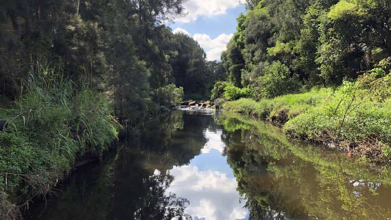 Prospect Creek in the Georges River catchment