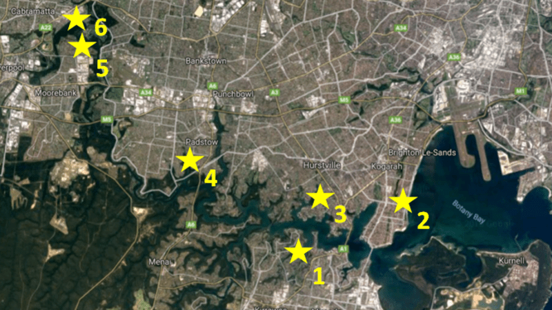 Aerial image showing planting sites in the Georges River catchment