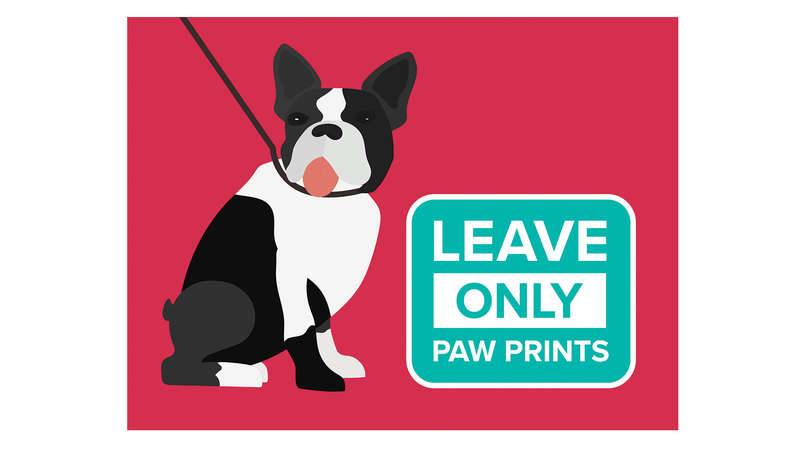 Leave only paw prints - artwork showing dog