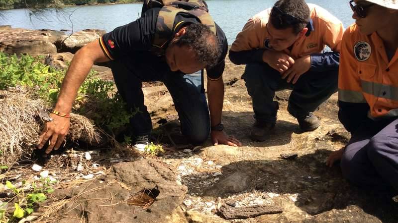 Examining a shell midden on the Georges River
