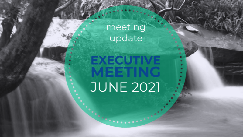 Executive Meeting update June 2021