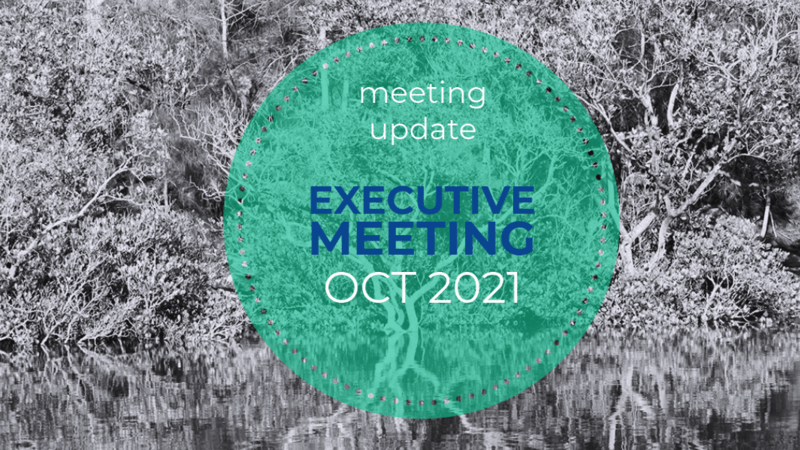 Oct 2021 Executive meeting summary graphic