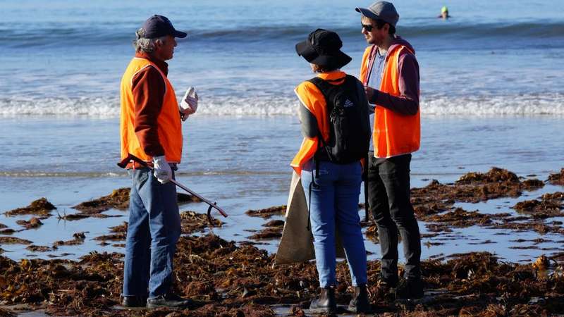 Volunteers clean up ocean litter as part of the #SeaToSource National Day of Action