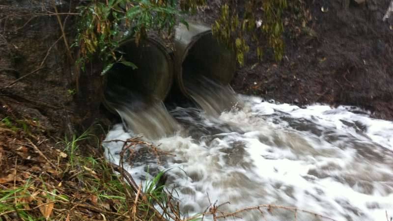 High stormwater flow into the Georges River
