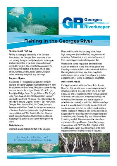 Fishing in the Georges River - factsheet